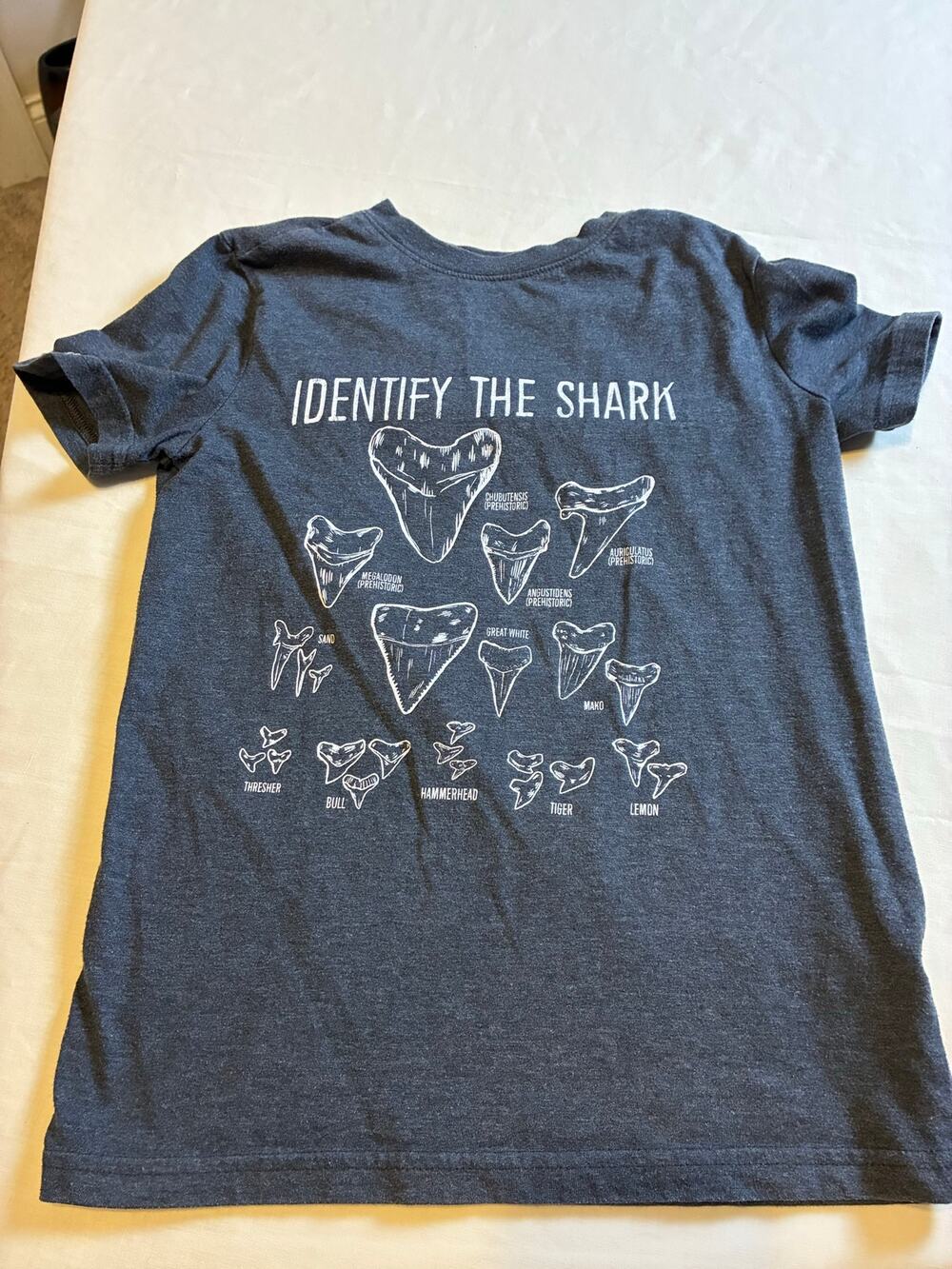 Cat & Jack Shark Teeth Graphic T Shirt Boys Size S 6 7 Navy Blue Science Ocean T